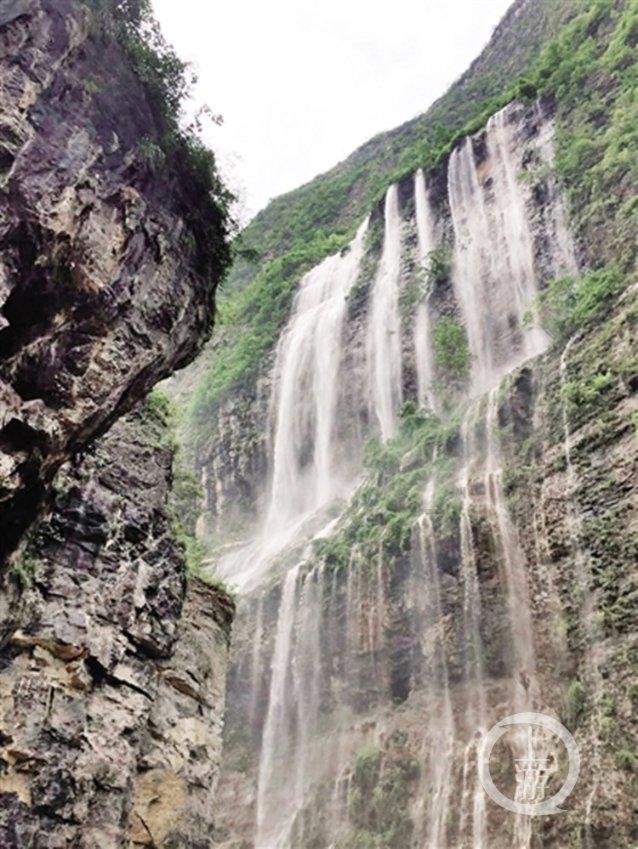 冻过的水果为什么会变软?-高质量知识问答网页